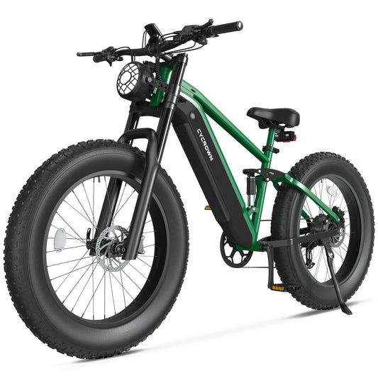 Cycrown Ultra 750W Adult E-Bicycle 48V Dual Battery City E-Mountain Bike