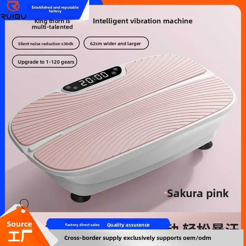 Carton Intelligent High Frequency Vibration Plate For Home Fitness