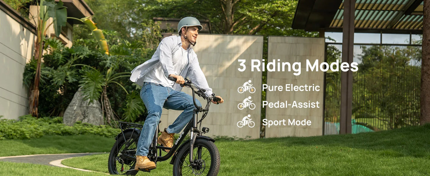 URLIFE Fat Tire Electric Bike 1000W 48V 13Ah 20 Mph 7-Speed Disc Brakes