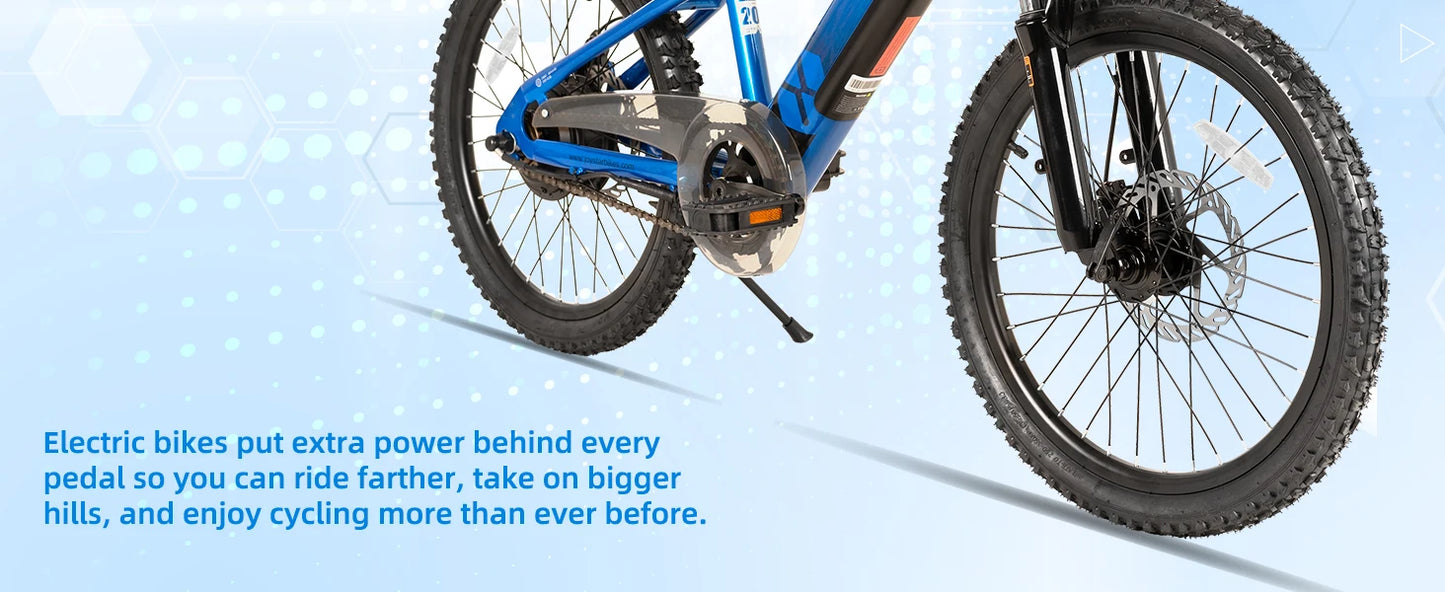 JOYSTAR Kids Electric Bike 250W Motor for Ages 7 Plus