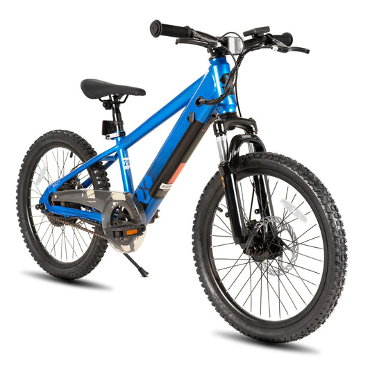 JOYSTAR Kids Electric Bike 250W Motor for Ages 7 Plus