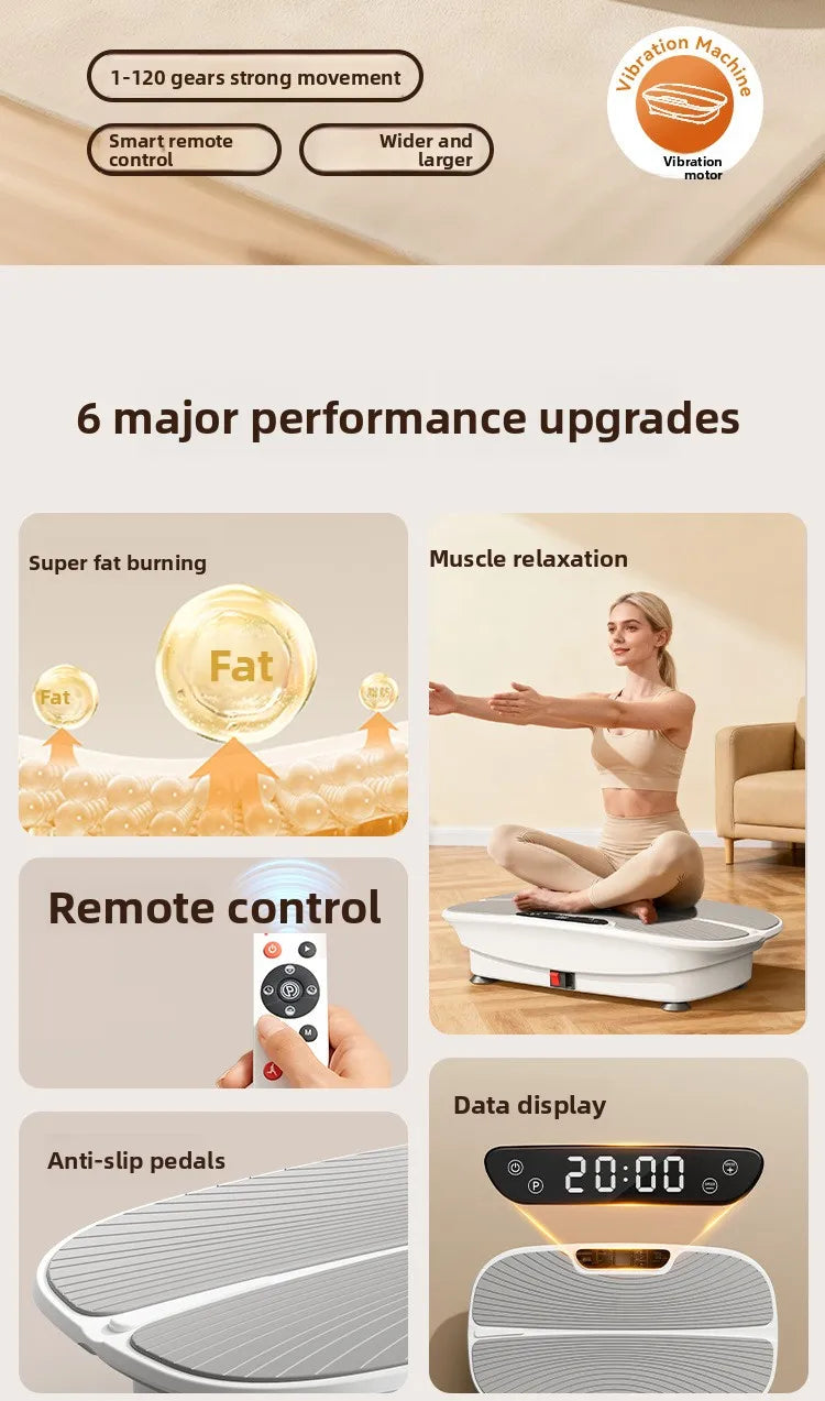 Carton Intelligent High Frequency Vibration Plate For Home Fitness