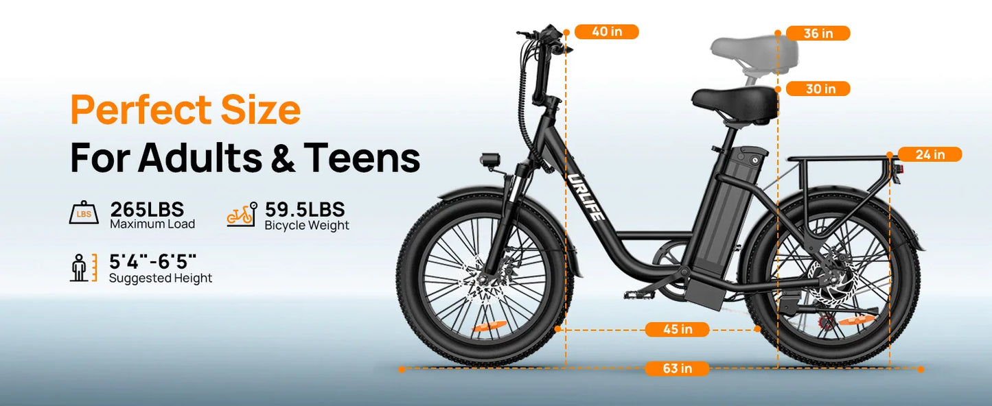 URLIFE Fat Tire Electric Bike 1000W 48V 13Ah 20 Mph 7-Speed Disc Brakes