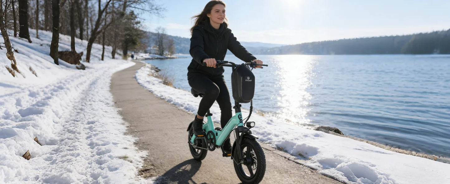 Bodywel T16Pro Folding Electric Bike 750W With Dual Disc Brakes