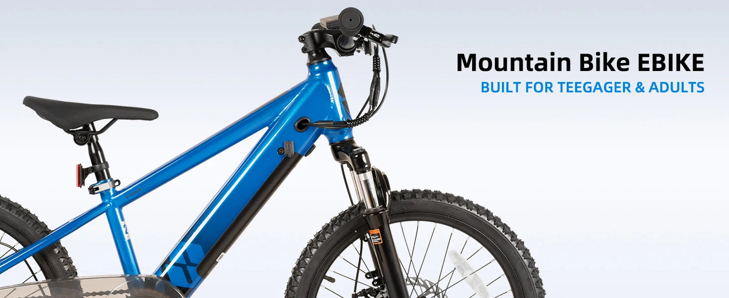 JOYSTAR Kids Electric Bike 250W Motor for Ages 7 Plus