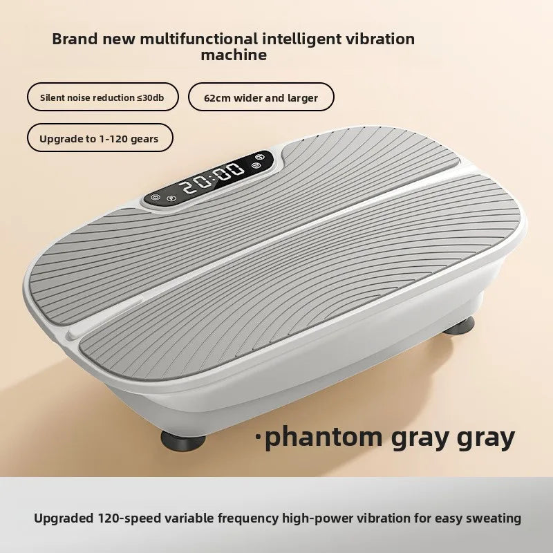 Carton Intelligent High Frequency Vibration Plate For Home Fitness