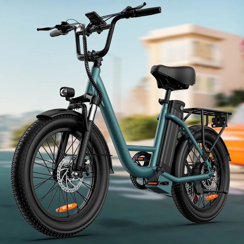 URLIFE Fat Tire Electric Bike 1000W 48V 13Ah 20 Mph 7-Speed Disc Brakes