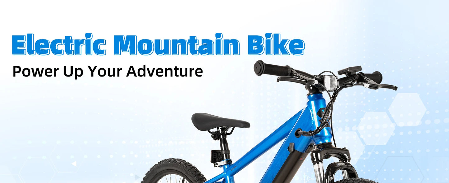 JOYSTAR Kids Electric Bike 250W Motor for Ages 7 Plus